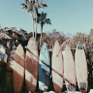 Meet your Posher, Lizzy